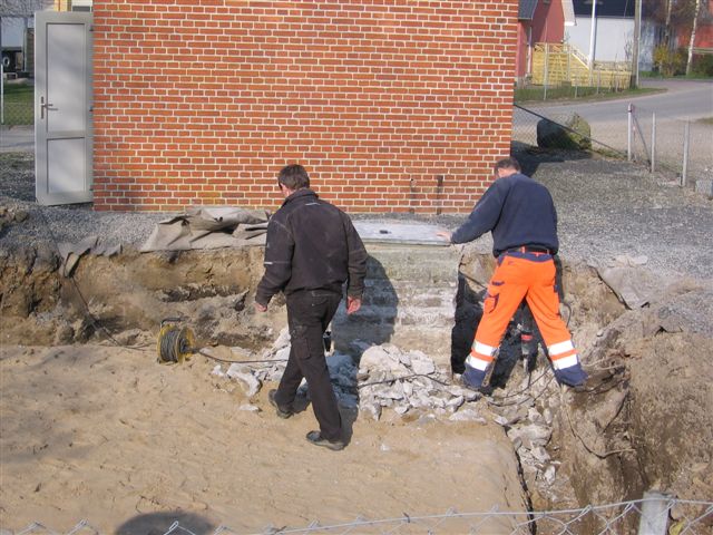 IMG 1508